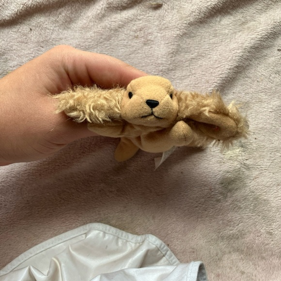TY Beanie Baby Plush Dog - Picture 2 of 7